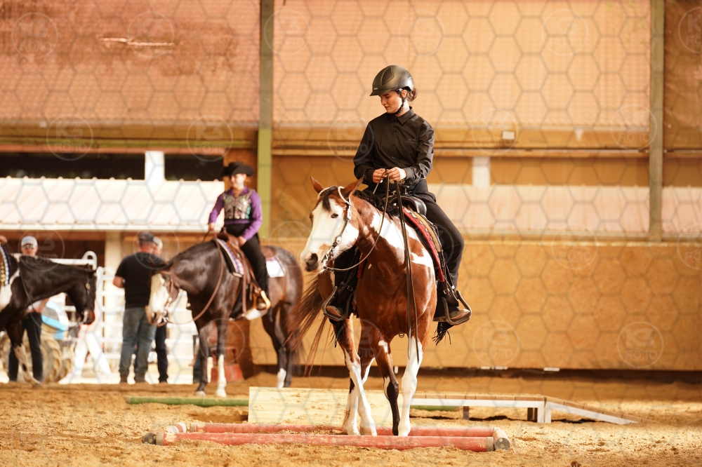 s_A9_01668.jpg